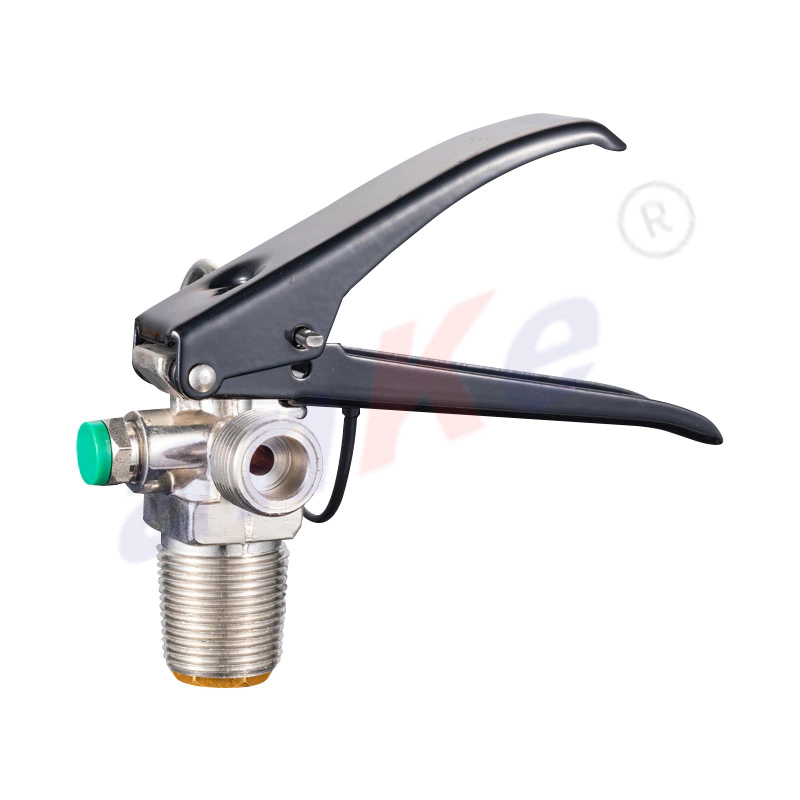 2–9 kg CO₂ Fire Extinguisher Copper Valve 2005